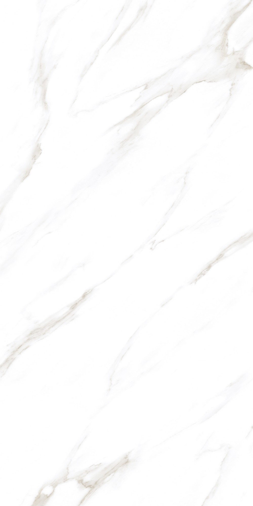 Product JPG